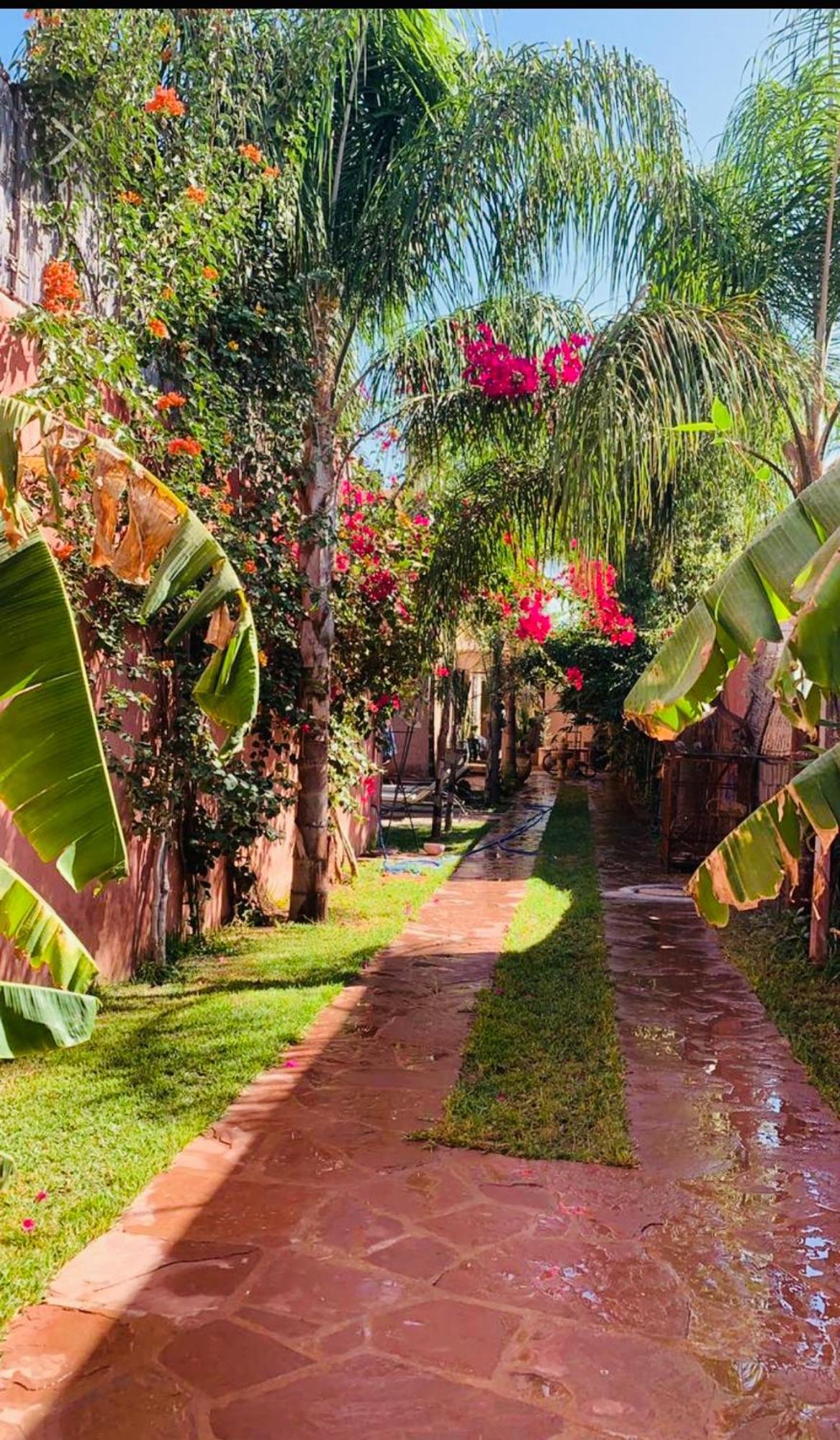 Maya Villa *